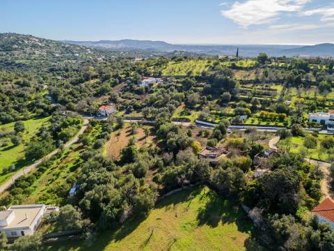 Terreno com 3 Ruínas em Propriedade com grande Potencial, Próximo de Boliqueime