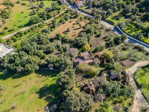 Terreno com 3 Ruínas em Propriedade com grande Potencial, Próximo de Boliqueime