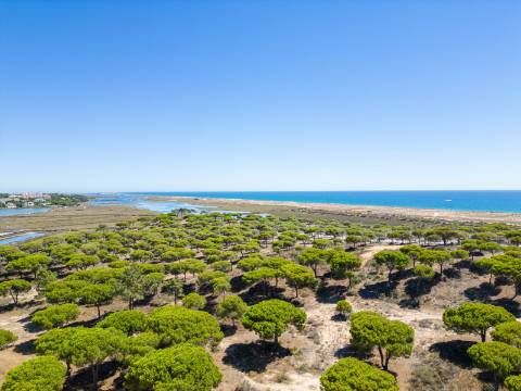 QUINTA DAS SALINAS - Apartamento T1 com VISTA MAR em VALE DO GARÃO