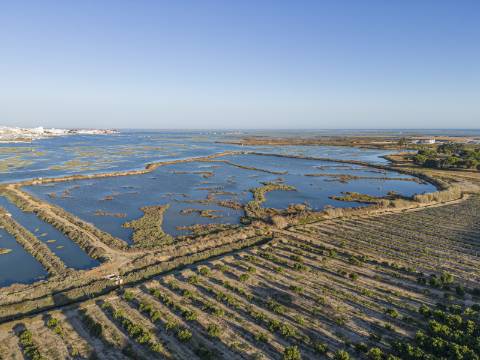 Ria Terraces - Luxury Villas