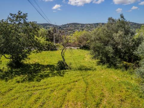 São Brás de Alportel - Terreno c/ projecto aprovado para duas moradias