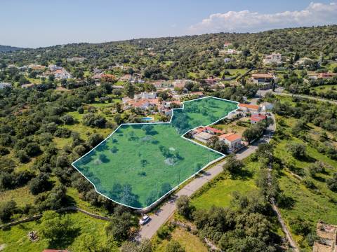Loulé, Quinta da Eira - Terreno de 7.700m² com PIP Aprovado para Moradia de 450m²
