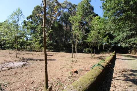 Terreno para construção