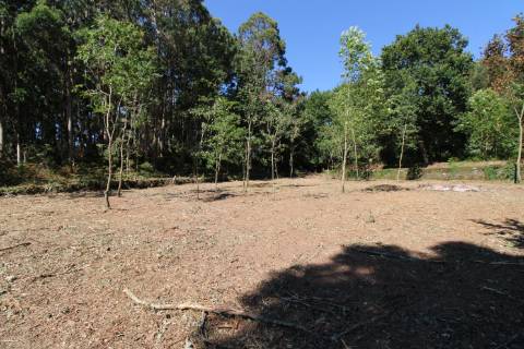 Terreno para construção