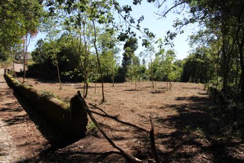 Terreno para construção