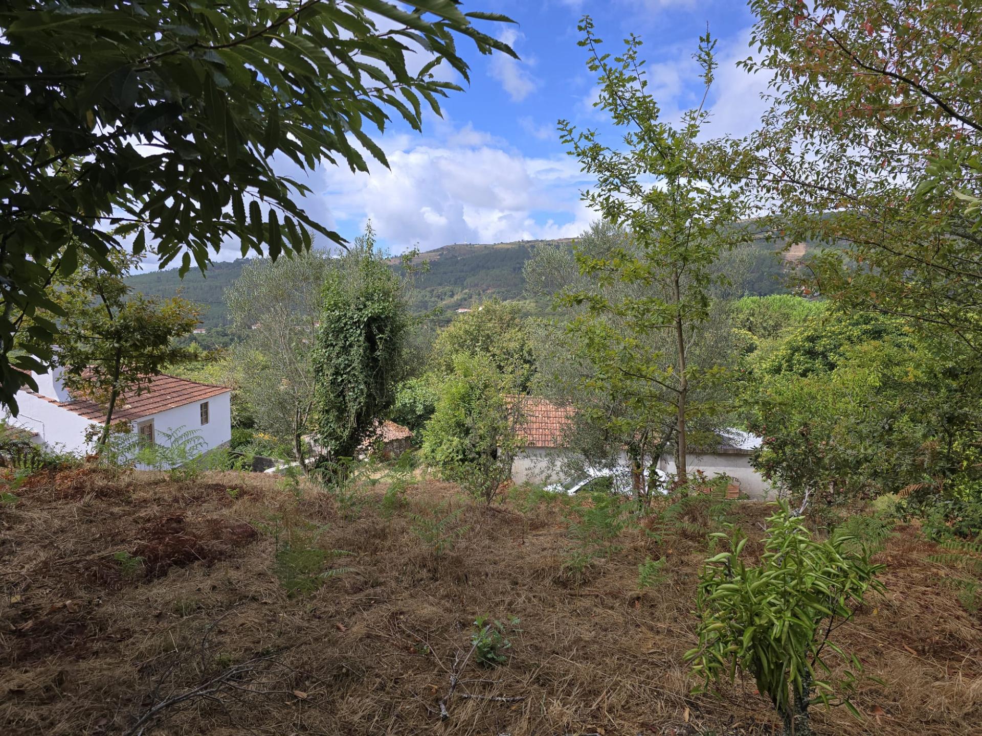 Terreno