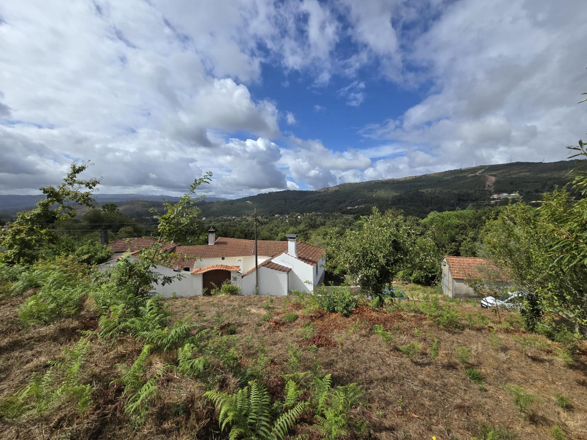 Terreno