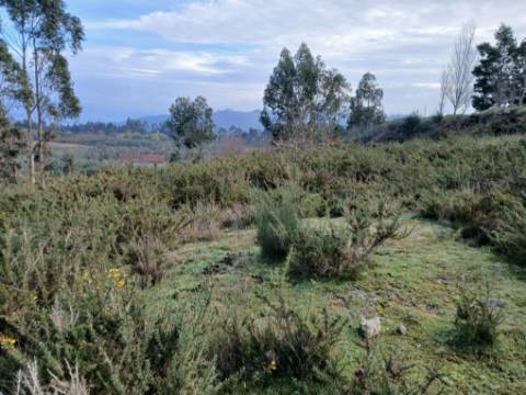 Terreno Industrial (95.656 m²) em Localização Estratégica em Lousada