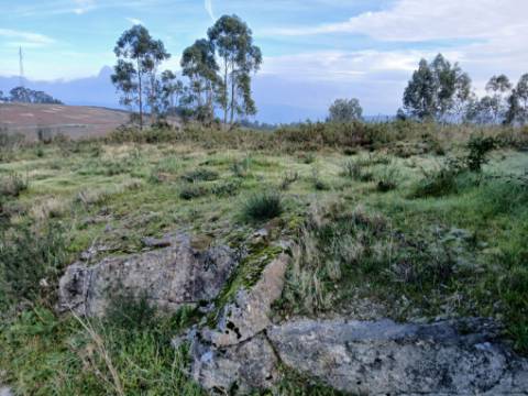Terreno Industrial (95.656 m²) em Localização Estratégica em Lousada