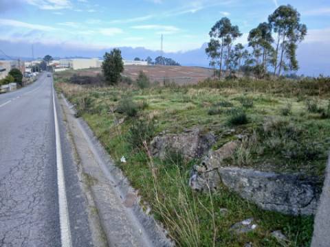 Terreno Industrial (95.656 m²) em Localização Estratégica em Lousada