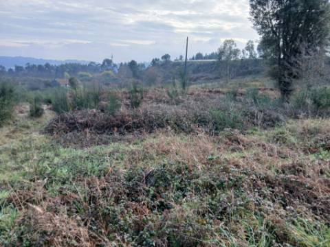 Terreno Industrial (95.656 m²) em Localização Estratégica em Lousada
