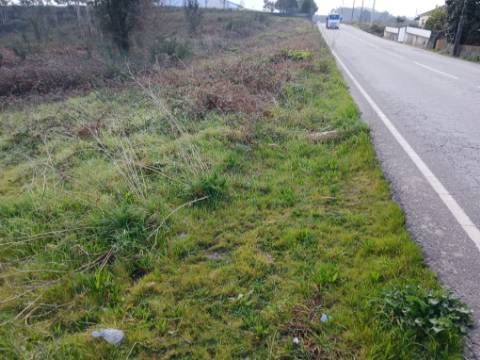 Terreno Industrial (95.656 m²) em Localização Estratégica em Lousada