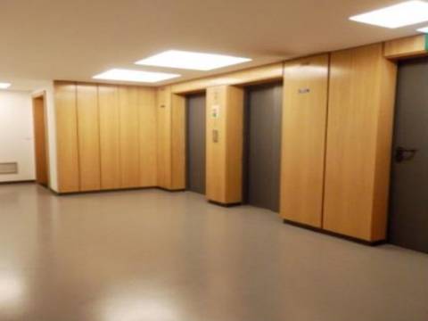 Apartamento T1 Mobilado com Jardim Privativo | Entrecampos, Lisboa