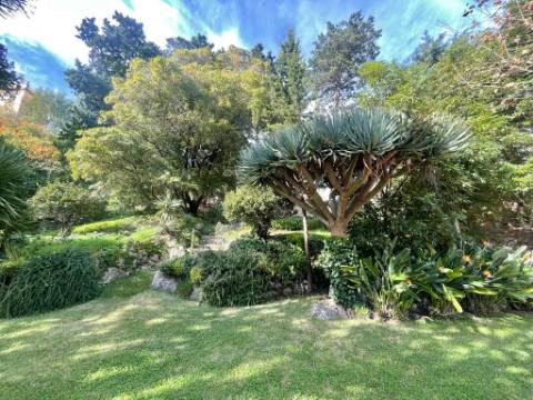 QUINTA DO RELÓGIO PROPRIEDADE HISTÓRICA DO SÉCULO XIX | OEIRAS | ARQUITETURA PALACIANA | VISTA MAR