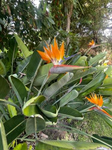 QUINTA DO RELÓGIO PROPRIEDADE HISTÓRICA DO SÉCULO XIX | OEIRAS | ARQUITETURA PALACIANA | VISTA MAR