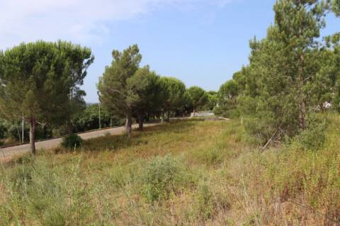 Construa a sua moradia com vista para o Tejo lote de 637m² em Constância