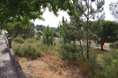 Construa a sua moradia com vista para o Tejo lote de 637m² em Constância