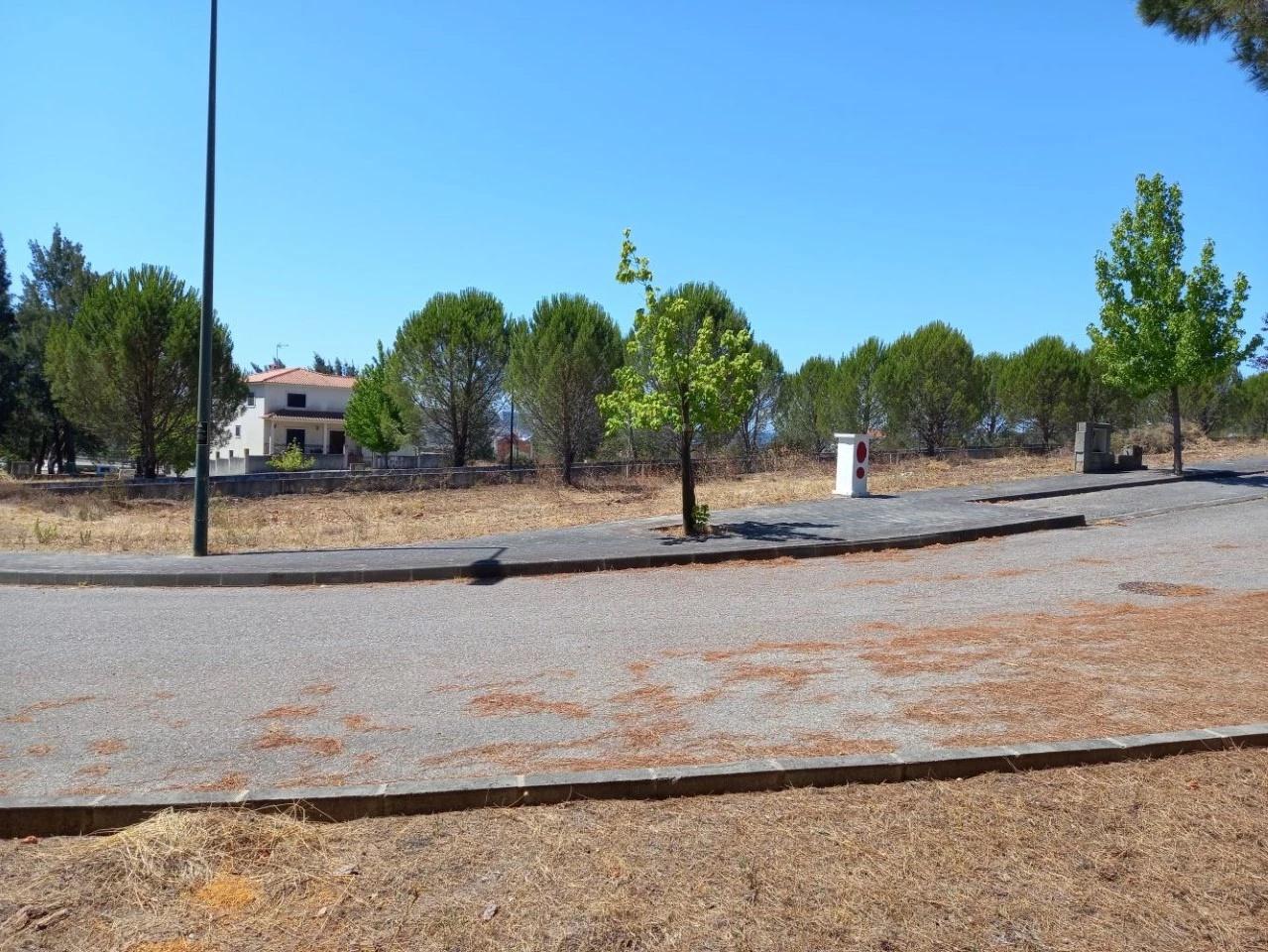 Construa a sua moradia com vista para o Tejo lote de 540 m² em Constância