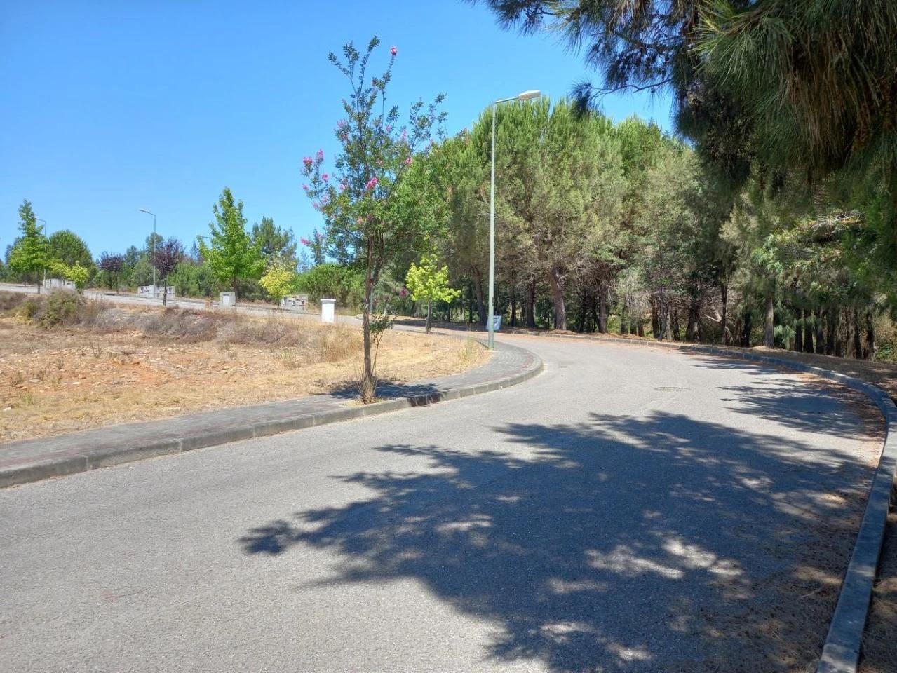 Construa a sua moradia com vista para o Tejo lote de 540 m² em Constância