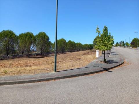 Construa a sua moradia com vista para o Tejo lote de 540 m² em Constância