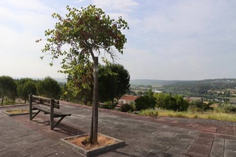 Construa a sua moradia com vista para o Tejo lote de 371 m² em Constância