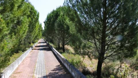 Construa a sua moradia com vista para o Tejo lote de 369 m² em Constância