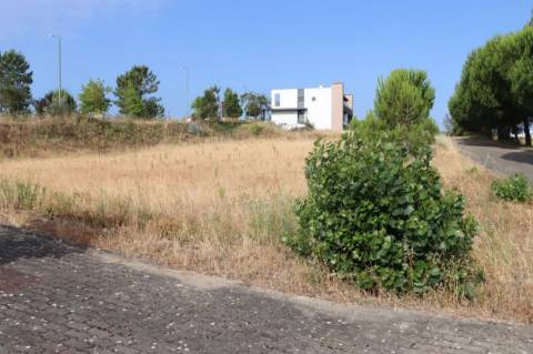 Construa a sua moradia com vista para o Tejo lote de 369 m² em Constância