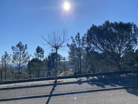 Lotes para moradia com vista Tejo | Projeto incluído | A 2 min de Constância
