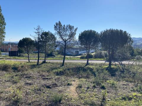 Lotes para moradia com vista Tejo | Projeto incluído | A 2 min de Constância