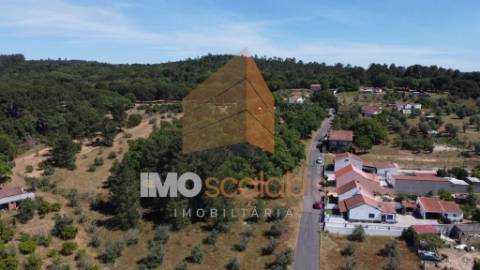 Terrenos na Carregueira, Chamusca