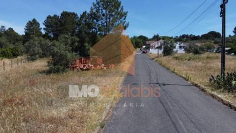 Terrenos na Carregueira, Chamusca