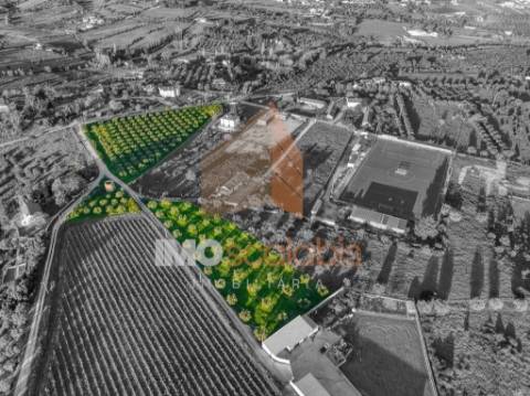 Terreno em Vale da Pinta, Cartaxo