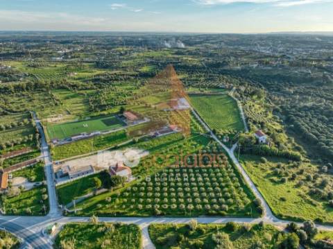 Terreno em Vale da Pinta, Cartaxo