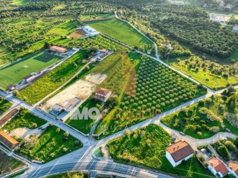 Terreno em Vale da Pinta, Cartaxo