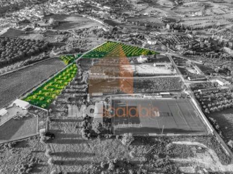 Terreno em Vale da Pinta, Cartaxo