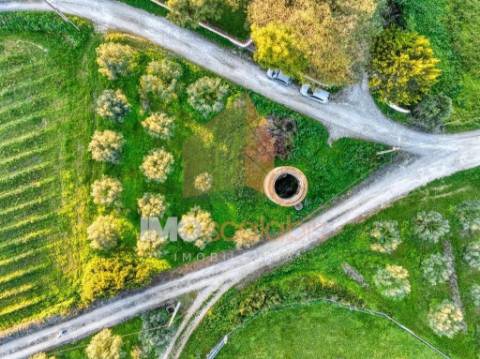 Terreno em Vale da Pinta, Cartaxo