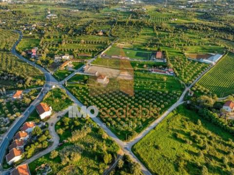 Terreno em Vale da Pinta, Cartaxo