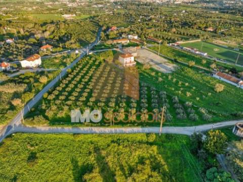 Terreno em Vale da Pinta, Cartaxo