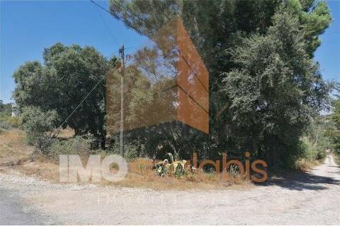 Terreno Rústico, Vale de Santarém