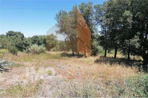 Terreno Rústico, Vale de Santarém