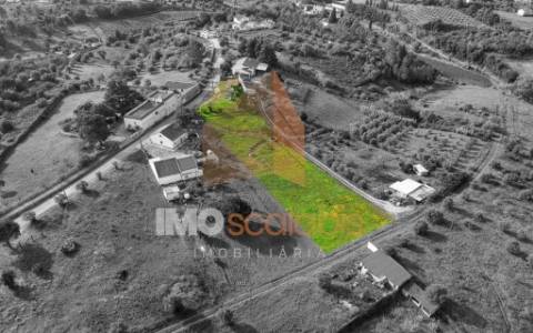 Terreno com Ruína e Autorização de Construção em Vale da Pinta, Cartaxo