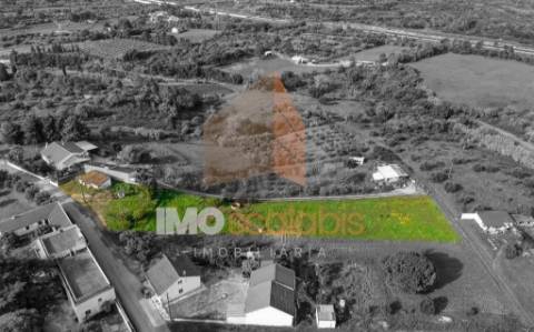 Terreno com Ruína e Autorização de Construção em Vale da Pinta, Cartaxo