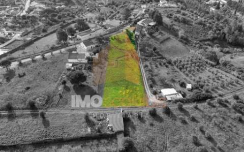 Terreno com Ruína e Autorização de Construção em Vale da Pinta, Cartaxo