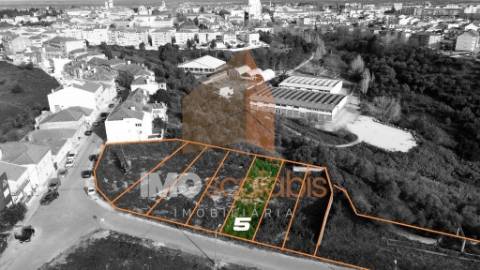 Monte Cravo - Terreno de 2.000m² para Construção de Moradias de Luxo em Santarém