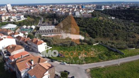 Monte Cravo - Terreno de 2.000m² para Construção de Moradias de Luxo em Santarém