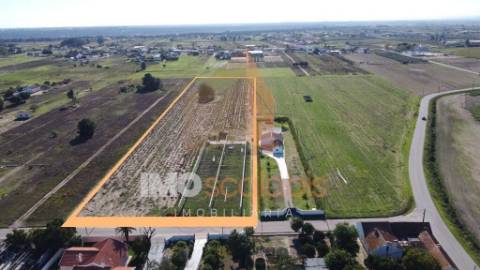 Terreno Rústico em Foros de Benfica do Ribatejo