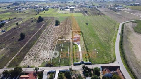 Terreno Rústico em Foros de Benfica do Ribatejo