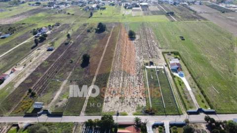 Terreno Rústico em Foros de Benfica do Ribatejo