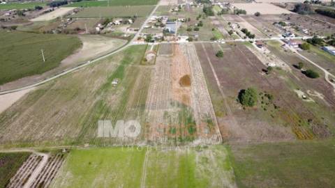 Terreno Rústico em Foros de Benfica do Ribatejo
