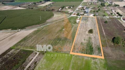 Terreno Rústico em Foros de Benfica do Ribatejo